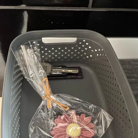 شقة Lalumiere1930 - Historic Center تيميشورا