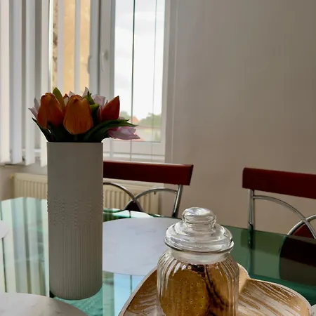 Apartament Lalumiere1930 - Historic Center Timișoara