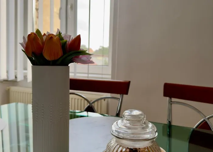 Apartamento Lalumiere1930 - Historic Center Timişoara