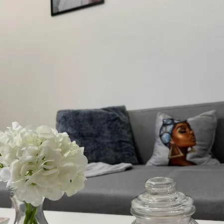 Chic & Cozy In Apartment