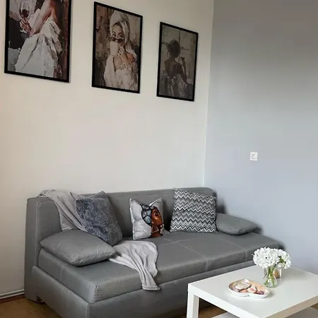 Chic & Cozy In Apartment Timisoara