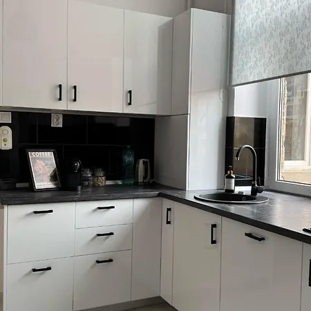 Chic & Cozy In Apartment Timisoara